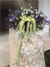 34bce496-20160603 burrito.jpg